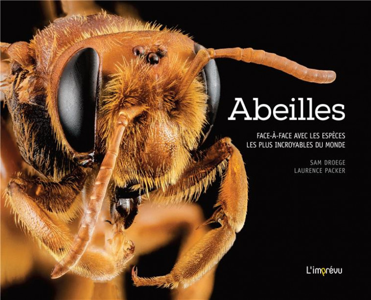 ABEILLES - DROEGE/PACKER - Editions de l'Imprévu