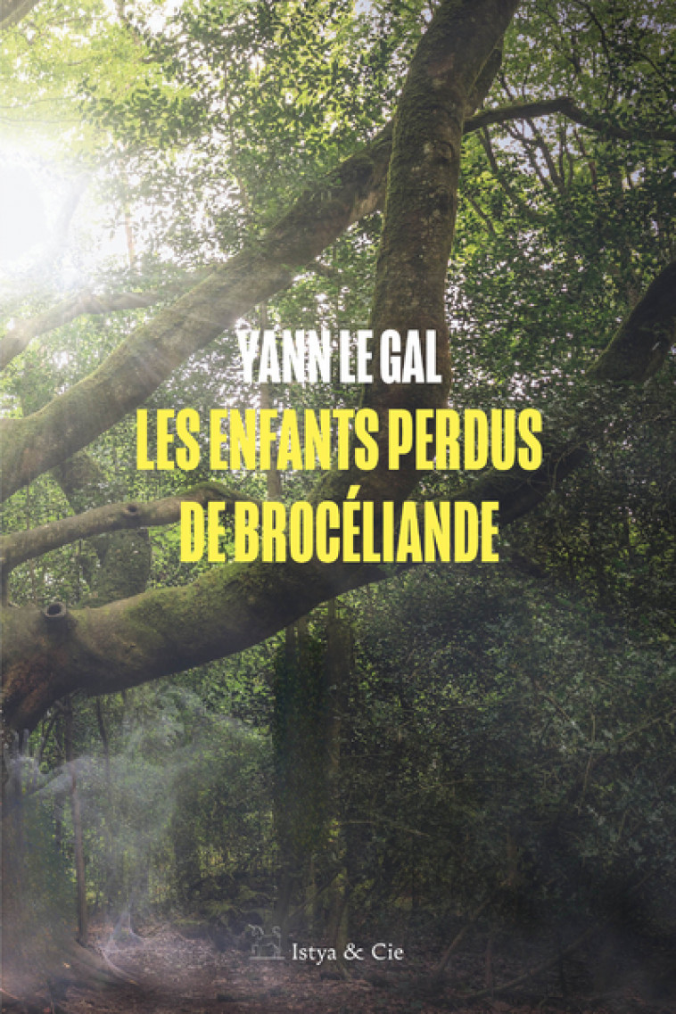 Les enfants perdus de Brocéliande - Yann Le Gal - ISTYA CIE